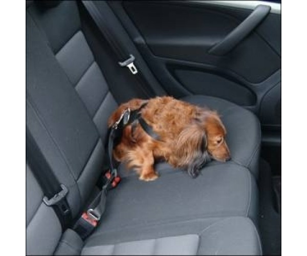 Hunde sikkerhedssele str. L 80-100 cm.
