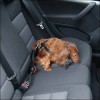 Hunde sikkerhedssele str. L 80-100 cm.